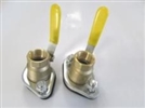 flanged 1" ball valve set