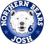 Bear car window sticker decals & magnets