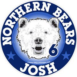 Bear car window sticker decals & magnets