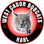 Bobcat wildcat car window sticker decals magnets TShirts