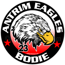 Eagle decals stickers clings & magnets