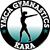 gymnastics stickers decals clings & magnets