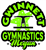 gymnastics car window decals stickers magnets wall decals yard signs tshirts