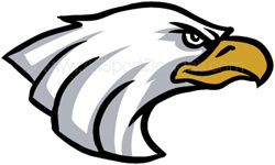 Eagle helmet sticker decals