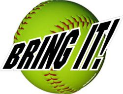 softball window stickers decals clings & magnets