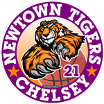 tiger window stickers decals clings & magnets