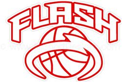 TN Lady Flash basketball stickers decals magnets & wall decals