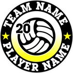 volleyball stickers decals clings & magnets