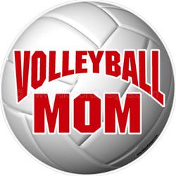 volleyball stickers clings decals magnets