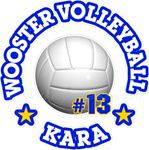 volleyball stickers decals clings & magnets