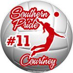 volleyball stickers decals clings & magnets