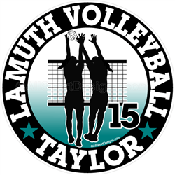 volleyball stickers decals clings & magnets