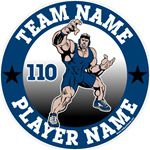 wrestling window stickers decals clings & magnets