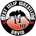 wrestling window stickers decals clings & magnets