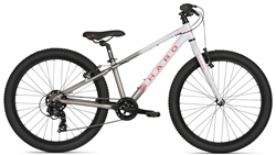 2021 Haro Flightline 24+" Kids Mountain Bike - Grey