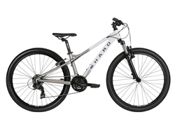 2021 Haro Flightline 26" Mountain Bike - Grey Fade