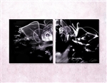 2 payments - "Laid to Rest" Diptych by Chris Adler