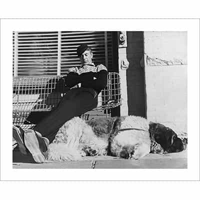 Vintage photo of Gary Cooper & Bingo Napping at the Hotel Jerome Aspen (Black & White or Sepia, 2 Sizes: 8 x 10 and 11 x 14 inches)