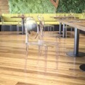 Transparent Ghost Chairs