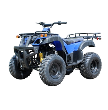 RK 200cc ATV