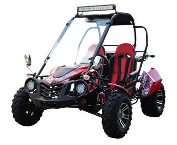 Trail Master 150cc Gokart