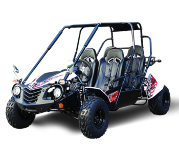 Trail Master 150cc Gokart