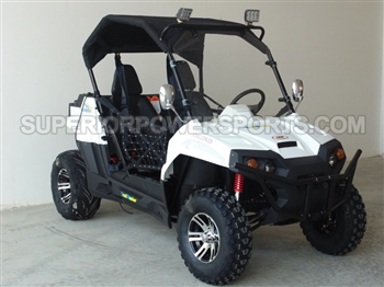 Trailmaster 300cc Utility Vehicle UTV