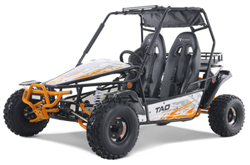 Tao Motors BAJA Sports 200cc Go Kart 200 GoKart Power Buggie