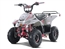 NEW Tao Motor 110cc Boulder  Kids ATV