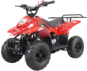 TAOTAO 110cc Kids ATV Boulder B1