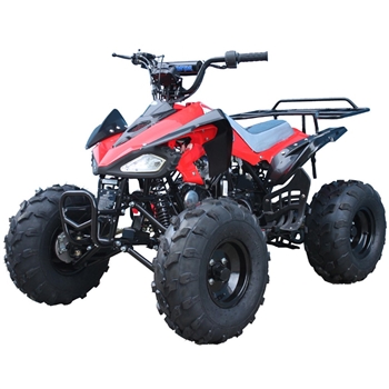 120cc  Kids ATVs TaoTao cheetah Kids ATV, taotao atv