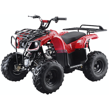 110cc ATV Utility Hummer