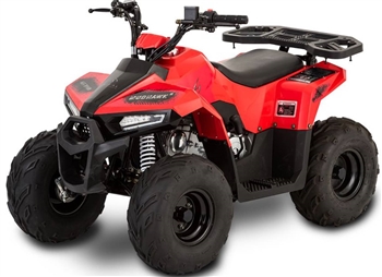 Rival Mud Hawk 6 110 Kids ATV