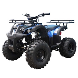 110cc ATV TaoTao T-Force 110 Mid Size ATV