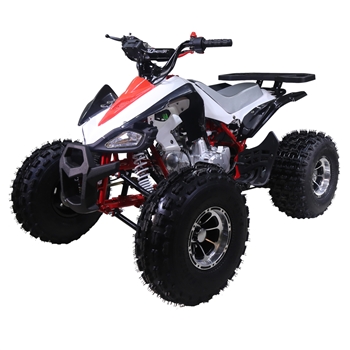 125cc ATVs TaoTao New Cheetah Mid Size ATV