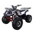 125cc ATV NEW TFORCE