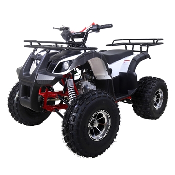 125cc ATV NEW TFORCE