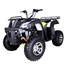 169cc ATV utility TaoTao Bull 200