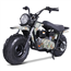 Tao Tao 200cc Dirt Bike DB-200