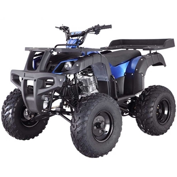 250cc Adult ATV Tao Tao Rhino 250