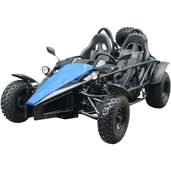 150 GoKart Power Buggie