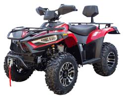 Vitacci TERMINATOR 300 4X4 ATV