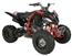 Vitacci Pentora 250cc Racing ATV, Polaris Style Rims!