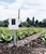 6345CS Leaf & Soil Moisture/Temperature Station with sensors