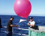 8230 Weather Balloon, 30 Grams Red