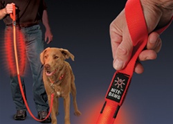 Nite Dawg L.E.D. Leash