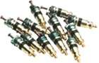 AVS1 CPS Valve Cores (10-Pk)