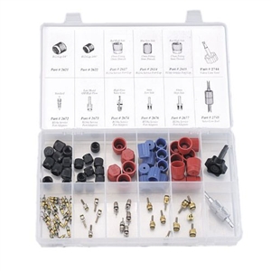 2663 FJC Inc. Automotive Air Conditioning Cap & Valve Core Assortment (90 Piece)