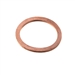 060-1901 MotorVac Washer-Banjo 12MM Copper