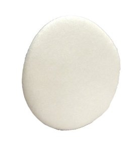 1060-00 SAS Safety N95 Filter/Prefilter